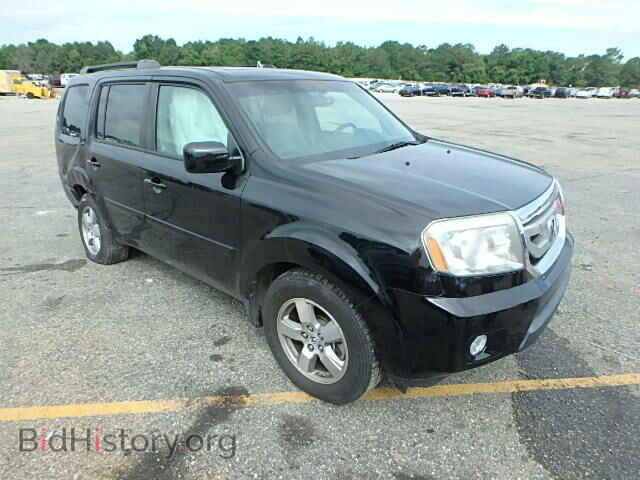 Фотография 5FNYF38579B000837 - HONDA PILOT 2009