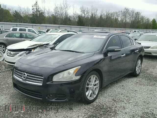 2009 NISSAN MAXIMA - VIN: 1N4AA51E59C830712 - Фото 2