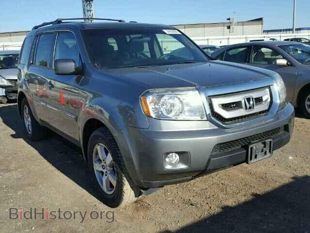 Фотография 5FNYF38499B006775 - HONDA PILOT 2009