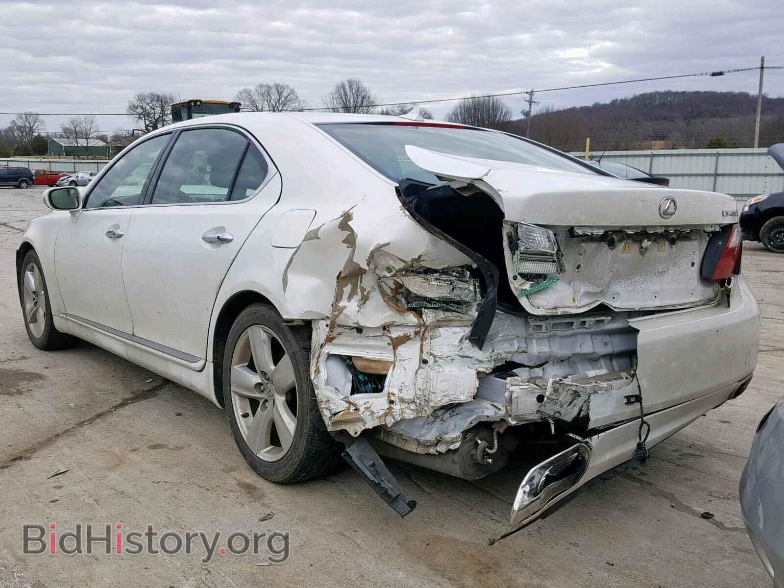 2011 LEXUS LS460 - VIN: JTHGL5EF7B5042010 - Фото 3