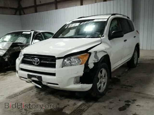 2011 TOYOTA RAV4 - VIN: 2T3BF4DV4BW105983 - Photo 2