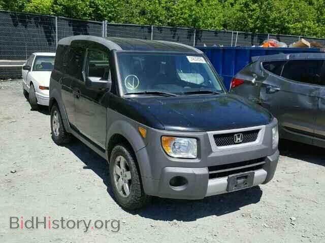 Photo 5J6YH28564L021246 - HONDA ELEMENT 2004