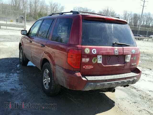 2005 HONDA PILOT - VIN: 2HKYF18775H534079 - Фото 3