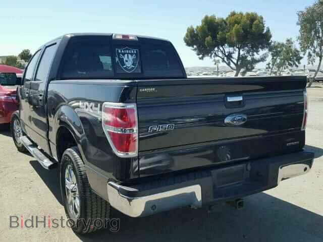 2013 FORD F150 - VIN: 1FTFW1EF0DFB28995 - Фото 3