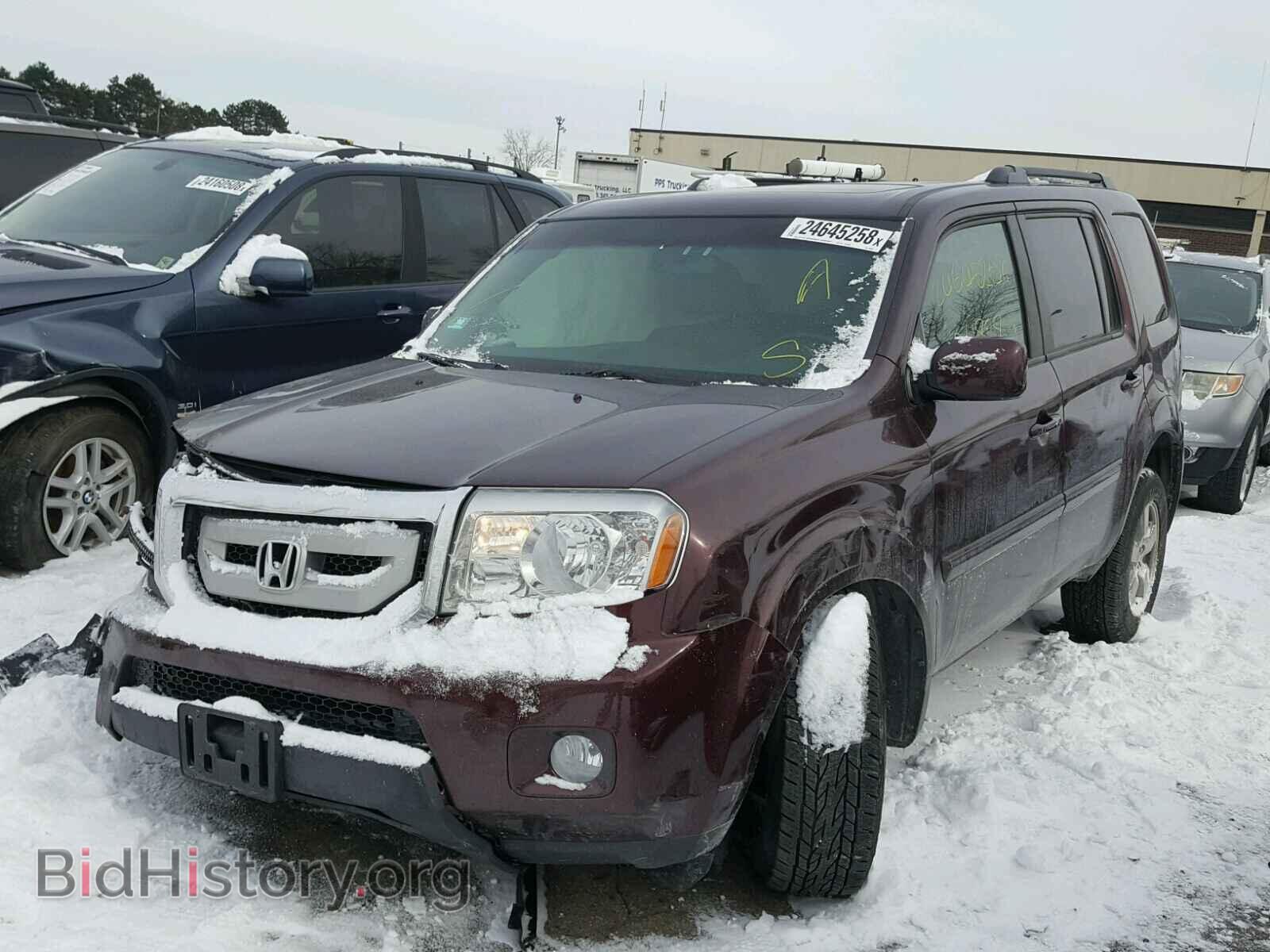 2009 HONDA PILOT - VIN: 5FNYF48679B037630 - Фото 2