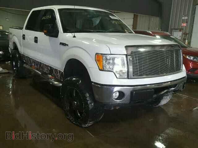 Фотография 1FTRW14819FA26984 - FORD F150 2009