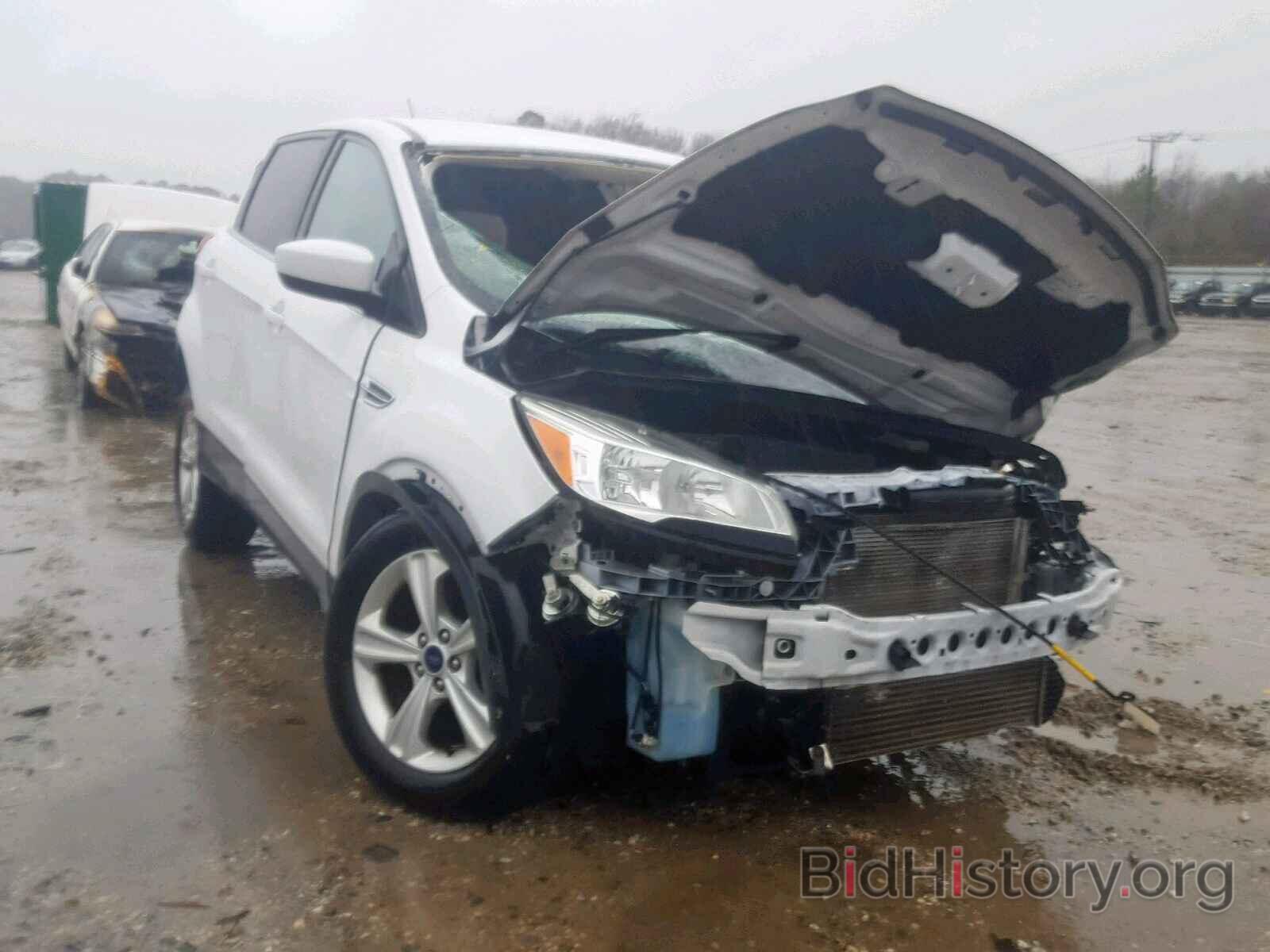 Photo 1FMCU0GX5EUB83749 - FORD ESCAPE SE 2014