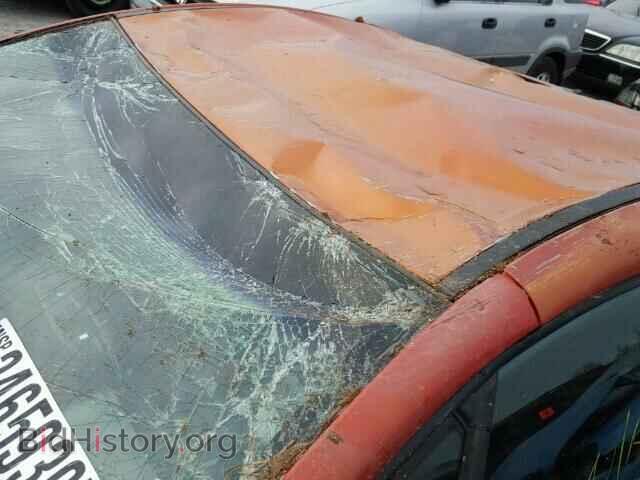 2007 MITSUBISHI ECLIPSE - VIN: 4A3AK24F77E002976 - Фото 9
