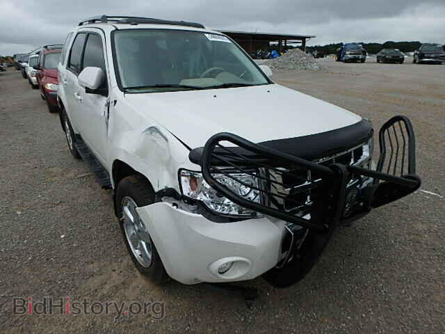 Фотография 1FMCU0EG2BKC28009 - FORD ESCAPE 2011
