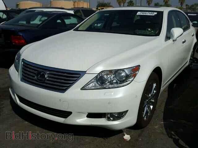 2011 LEXUS LS460 - VIN: JTHBL5EF1B5105614 - Фото 2