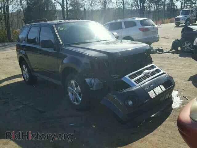 Фотография 1FMCU0D74BKA13961 - FORD ESCAPE 2011
