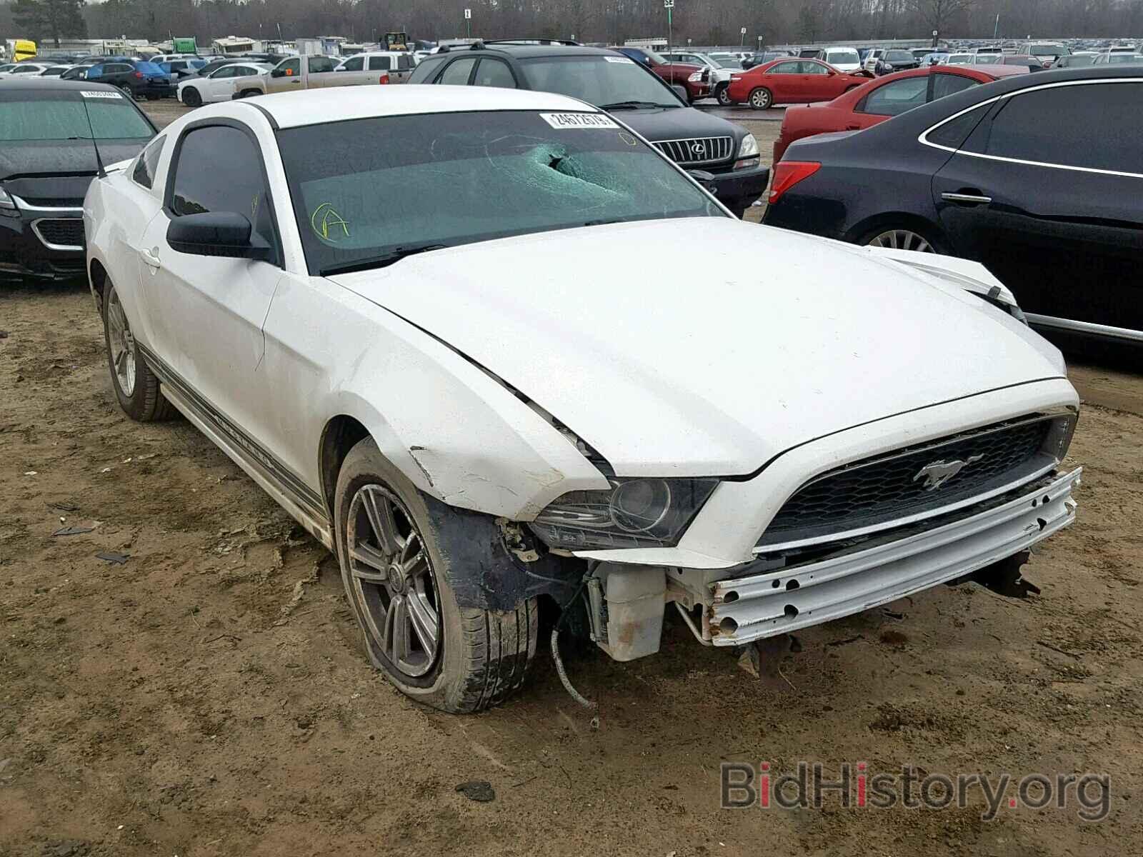 Photo 1ZVBP8AM1D5227238 - FORD MUSTANG 2013