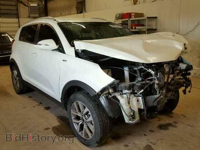 Фотография KNDPBCAC8E7548295 - KIA SPORTAGE 2014