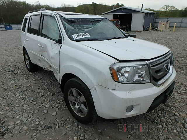 Photo 5FNYF4H60BB004796 - HONDA PILOT 2011