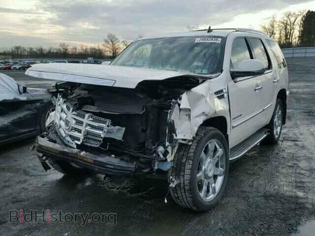 2010 CADILLAC ESCALADE - VIN: 1GYUKBEF6AR174828 - Фото 2