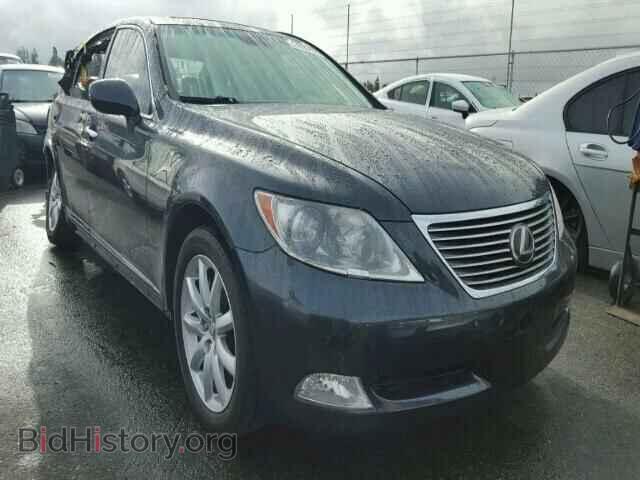 Фотография JTHGL46F885026013 - LEXUS LS460 2008