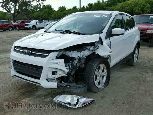 2013 FORD ESCAPE - VIN: 1FMCU0GX5DUB68702 - Photo 2