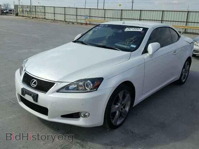 2011 LEXUS IS250 - VIN: JTHFF2C23B2517784 - Фото 2