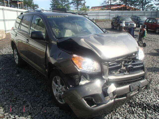 Фотография 2T3BF4DV2CW244169 - TOYOTA RAV4 2012