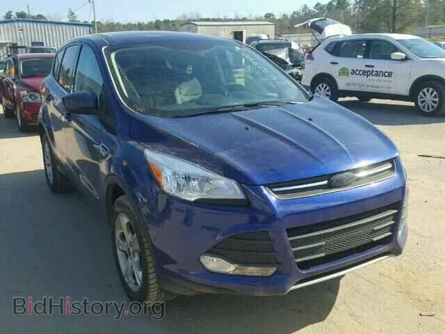 Фотография 1FMCU0GXXDUC19790 - FORD ESCAPE 2013