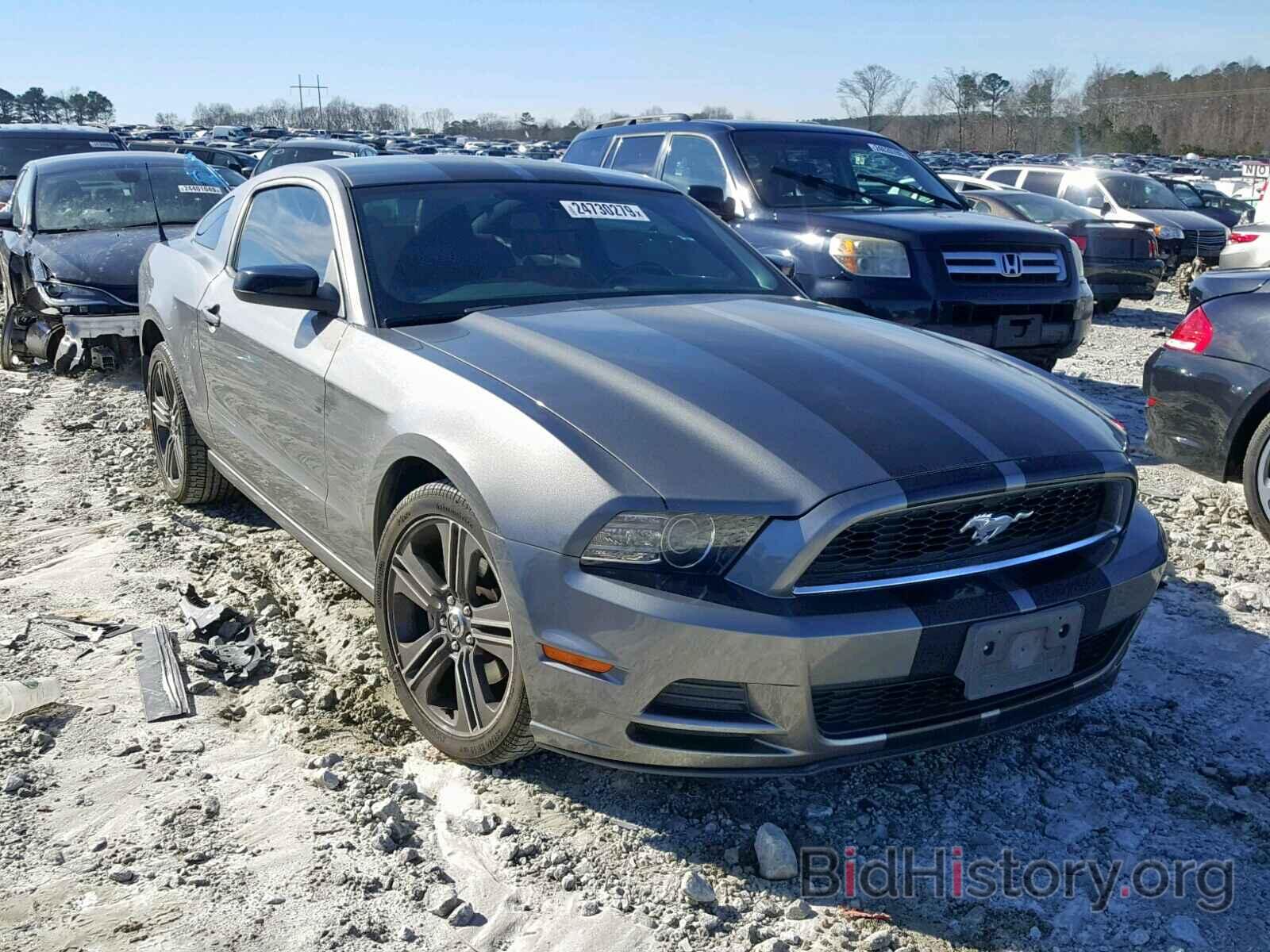 Photo 1ZVBP8AM9D5237614 - FORD MUSTANG 2013