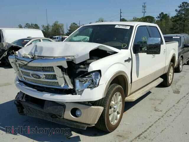2012 FORD F150 - VIN: 1FTFW1EF8CKD41442 - Фото 2