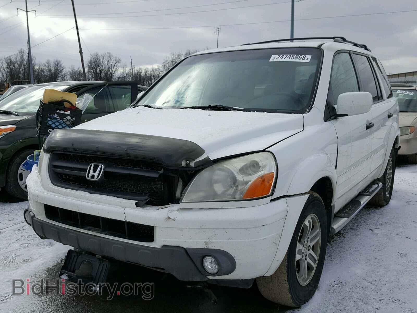 2005 HONDA PILOT - VIN: 5FNYF18655B026442 - Фото 2