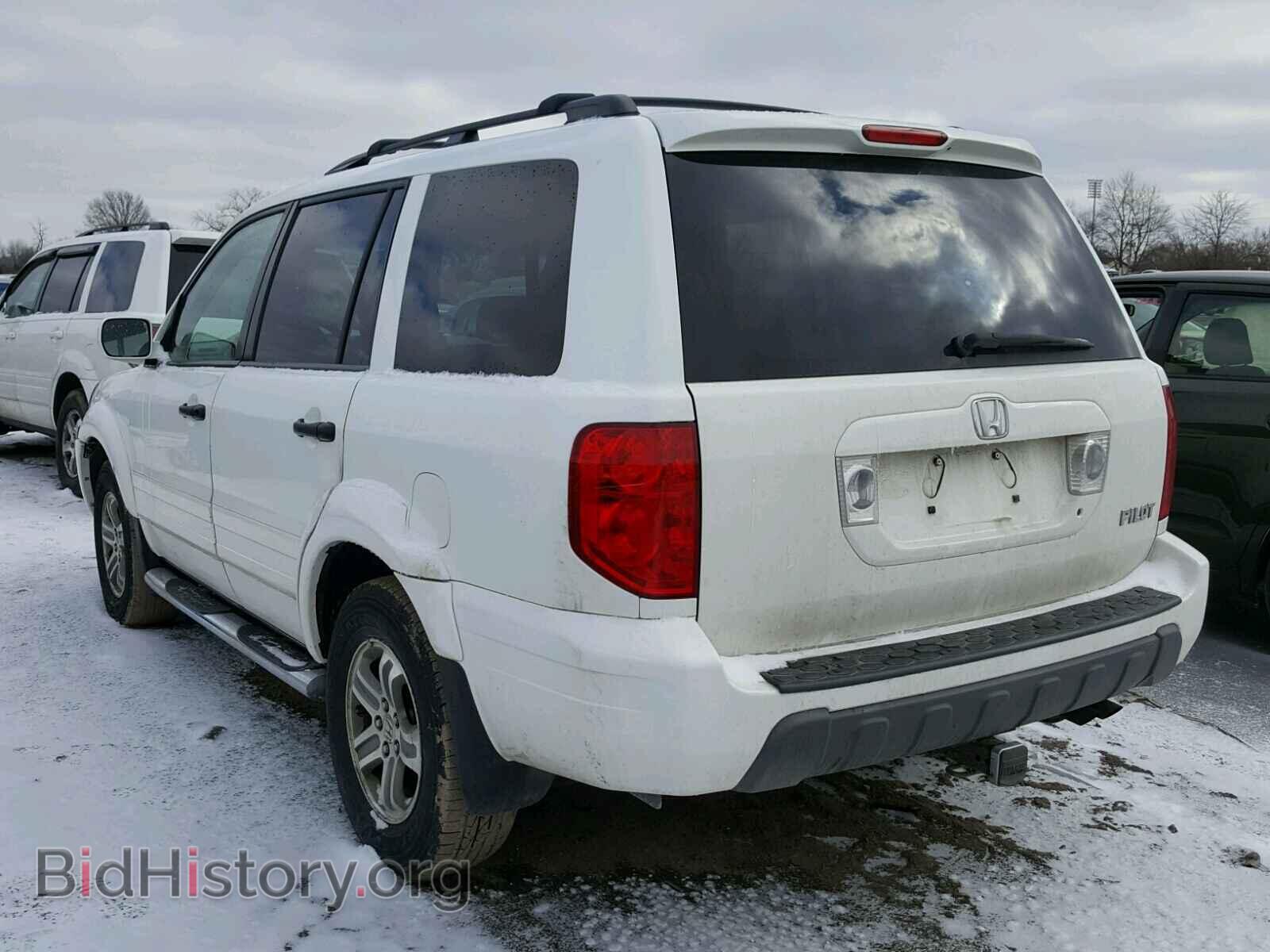 2005 HONDA PILOT - VIN: 5FNYF18655B026442 - Фото 3