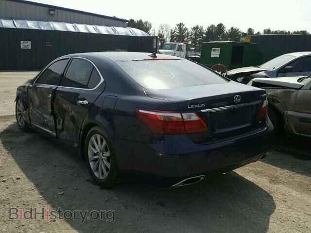 2010 LEXUS LS460 - VIN: JTHCL5EFXA5007152 - Фото 3