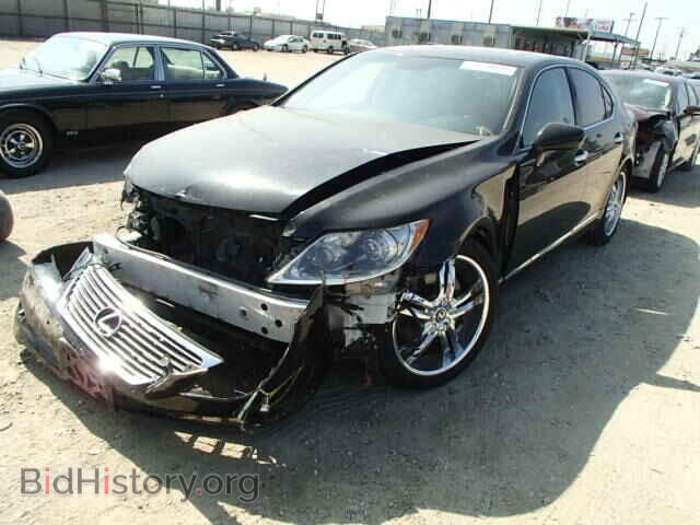 2009 LEXUS LS460 - VIN: JTHBL46F995091206 - Фото 2