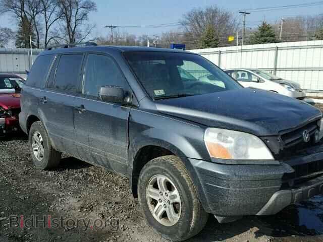 Photo 5FNYF18525B045926 - HONDA PILOT 2005