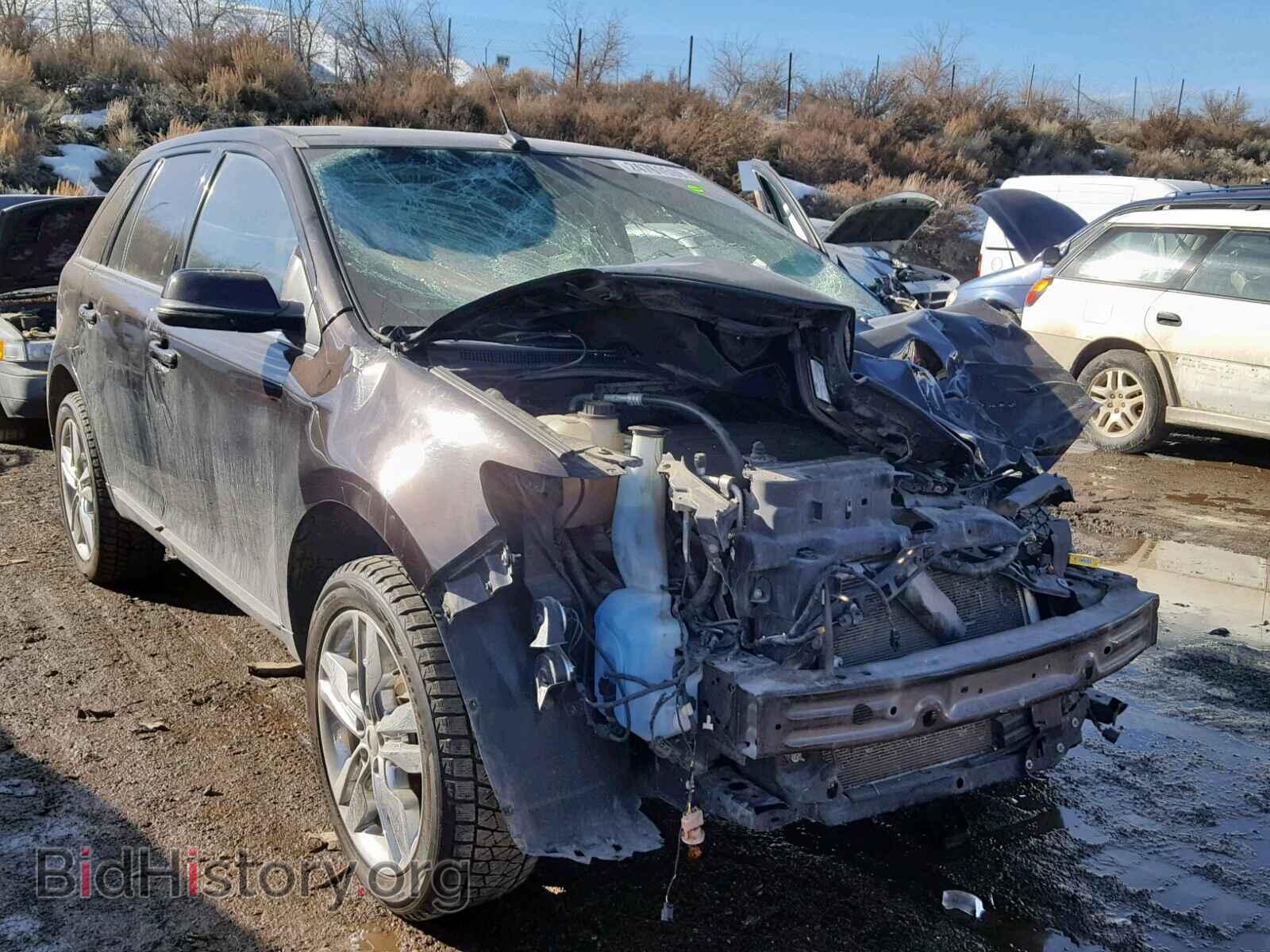 Фотография 2FMDK4KC0DBB70742 - FORD EDGE 2013