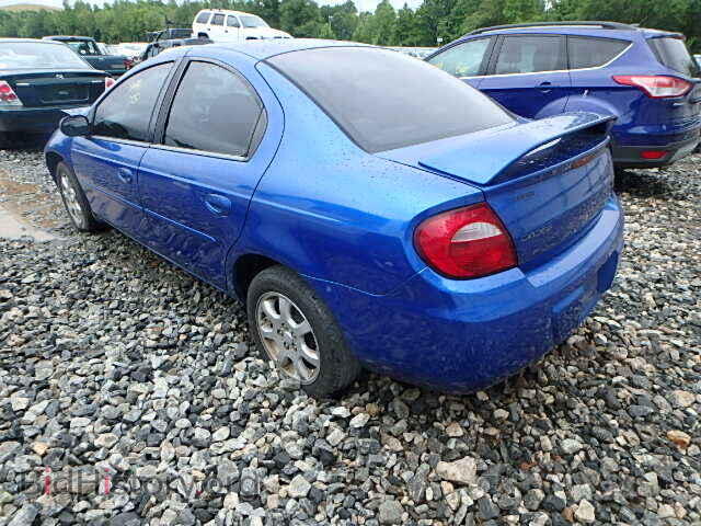 2005 DODGE NEON - VIN: 1B3ES56C65D279325 - Фото 3