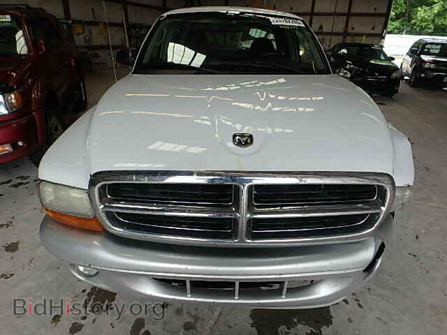 2004 DODGE DAKOTA - VIN: 1D7GL42N84S509193 - Фото 7