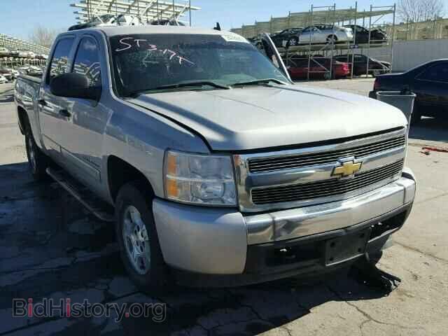 Фотография 2GCEK13M981167123 - CHEVROLET SILVERADO 2008