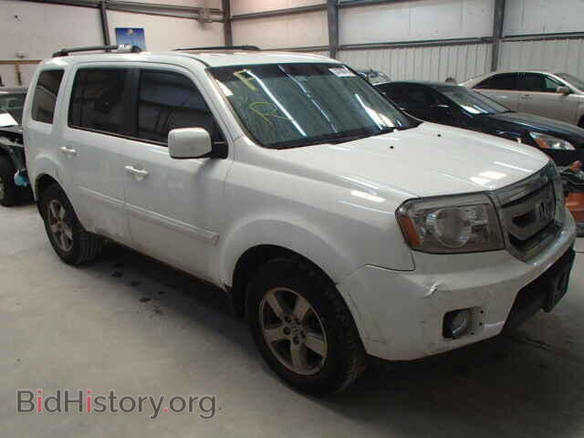 Фотография 5FNYF3H57BB019586 - HONDA PILOT 2011