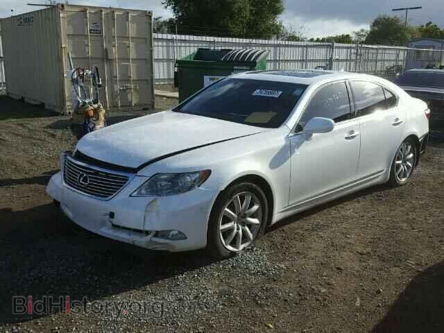 2009 LEXUS LS460 - VIN: JTHBL46F395087376 - Фото 2