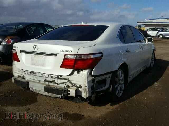 2009 LEXUS LS460 - VIN: JTHBL46F395087376 - Фото 4
