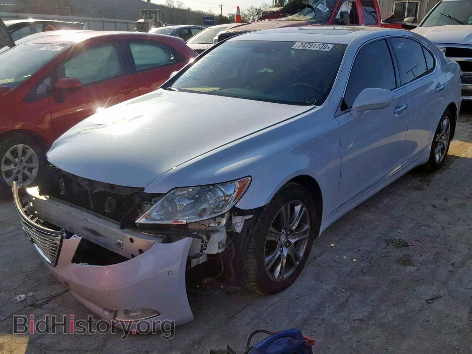 2008 LEXUS LS460 - VIN: JTHBL46F085067679 - Фото 2