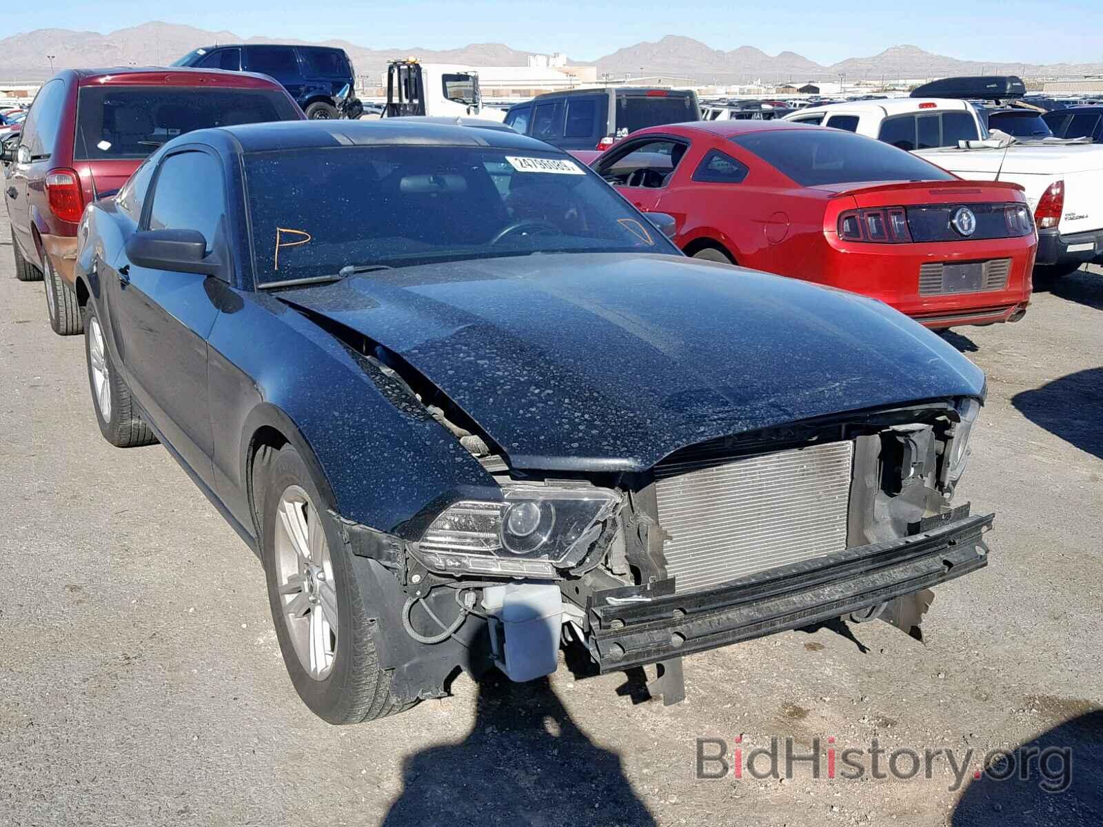 Photo 1ZVBP8AM4E5264270 - FORD MUSTANG 2014