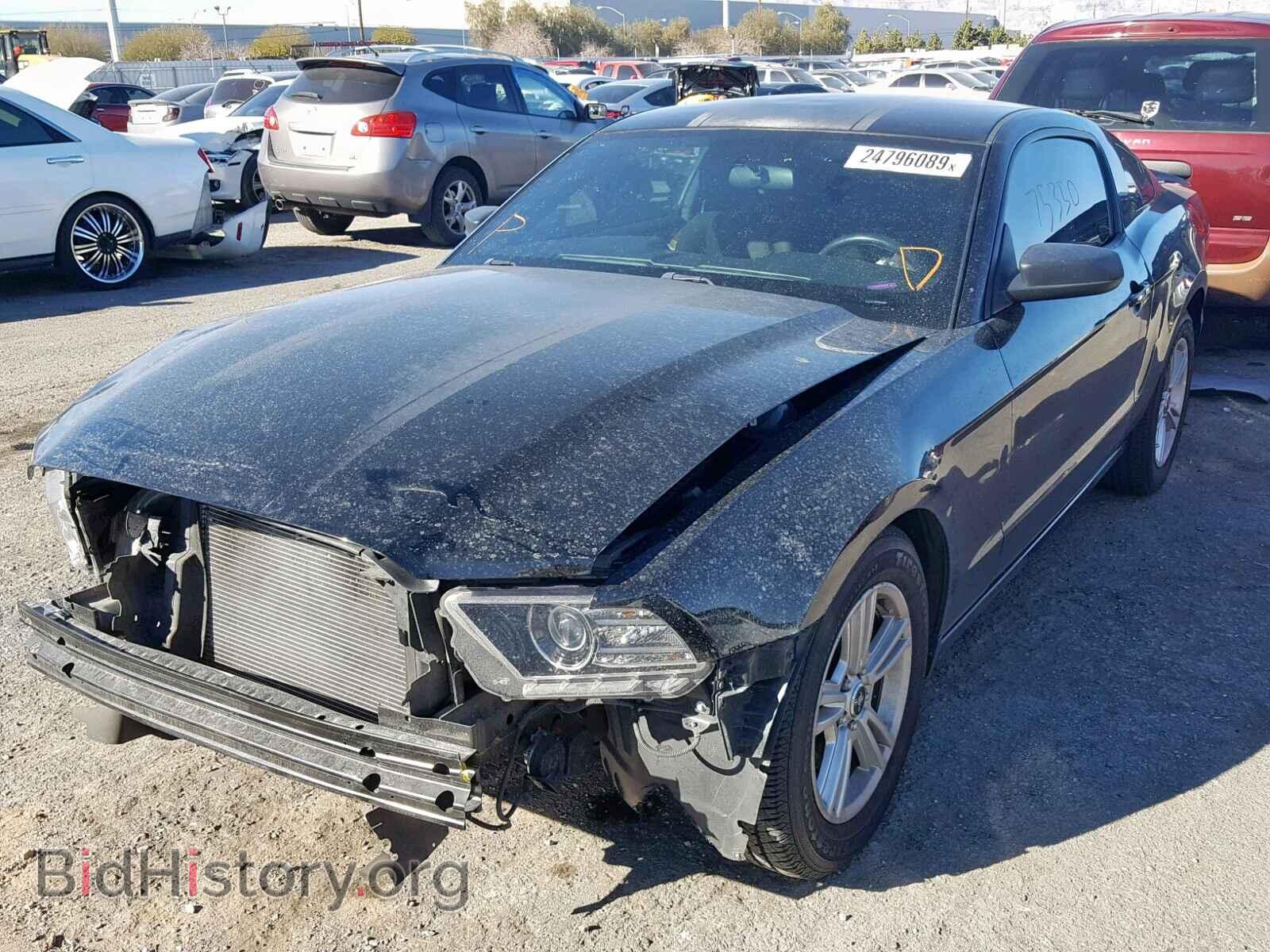 2014 FORD MUSTANG - VIN: 1ZVBP8AM4E5264270 - Фото 2