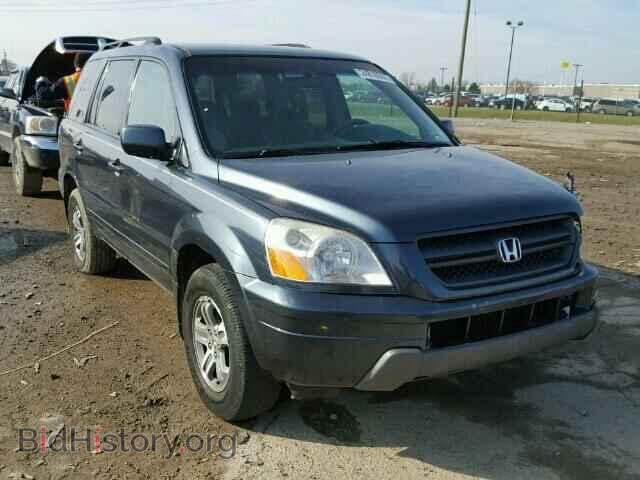 Photo 5FNYF18435B015163 - HONDA PILOT 2005