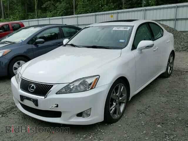 2009 LEXUS IS250 - VIN: JTHBK262495100334 - Фото 2