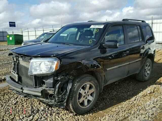 2011 HONDA PILOT - VIN: 5FNYF4H93BB504610 - Фото 2
