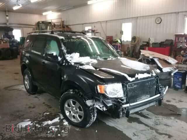Фотография 1FMCU9EG7BKB29982 - FORD ESCAPE 2011