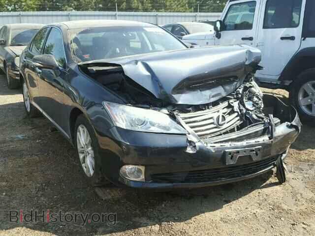 Фотография JTHBK1EG1A2374670 - LEXUS ES350 2010