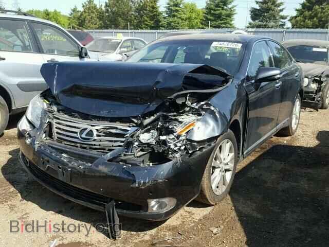 2010 LEXUS ES350 - VIN: JTHBK1EG1A2374670 - Фото 2