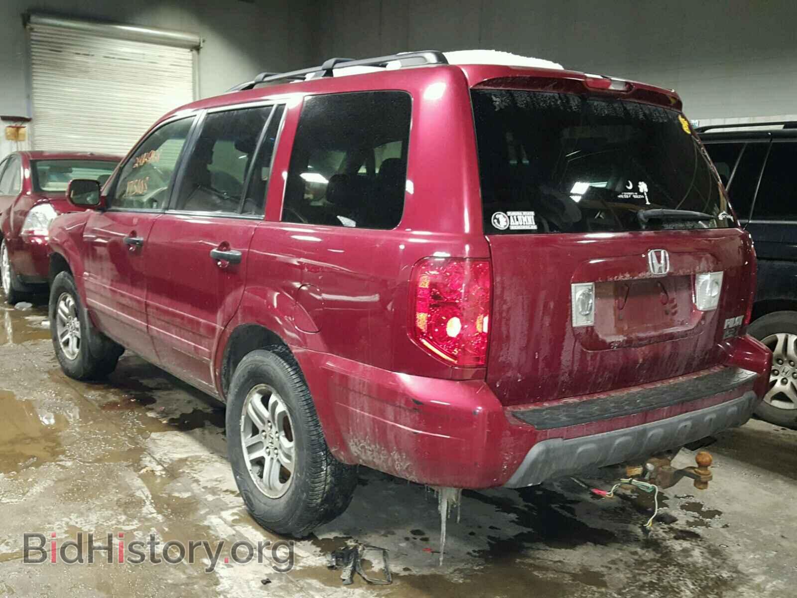 2005 HONDA PILOT - VIN: 5FNYF18695B005965 - Фото 3