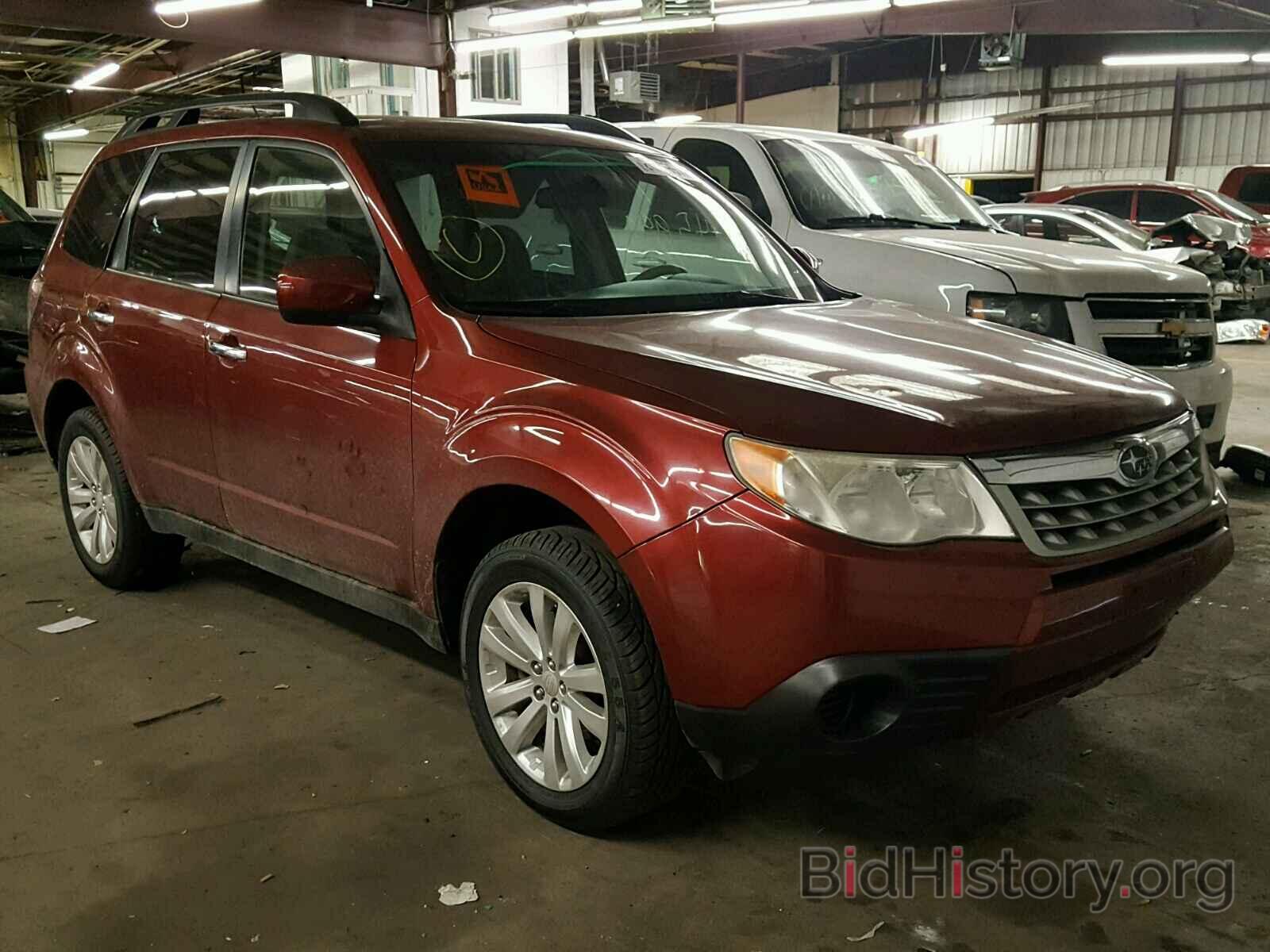 Photo JF2SHACC0BH705450 - SUBARU FORESTER 2011