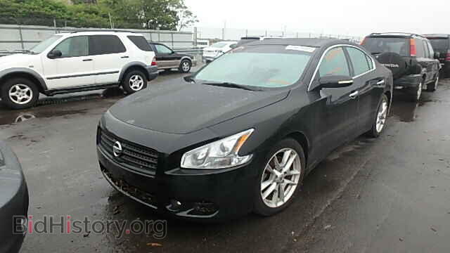 2009 NISSAN MAXIMA - VIN: 1N4AA51E29C848486 - Фото 2
